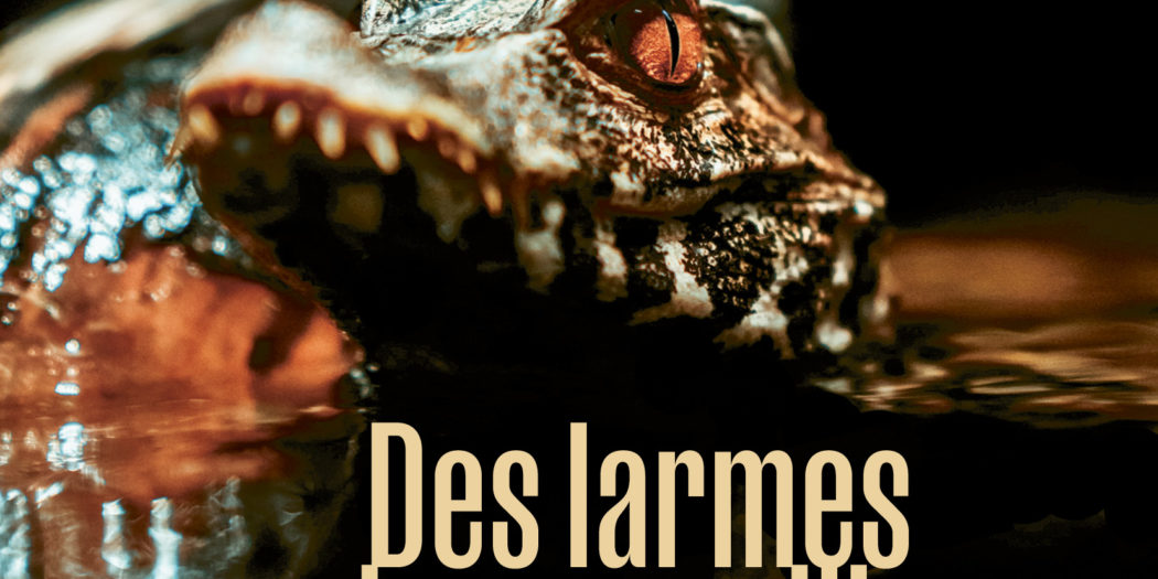 Couverture du roman Des larmes de crocodile de mercedes Rosende traduit et édité par Quidam, paru en 2024