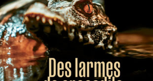 Couverture du roman Des larmes de crocodile de mercedes Rosende traduit et édité par Quidam, paru en 2024