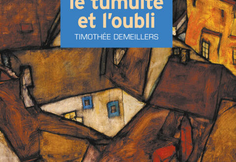 Timothée Demeillers Le Tumulte et l’oubli couverture